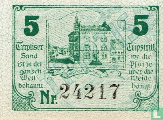 Triptis 5 Pfennig 1920 (foncée) - Image 2