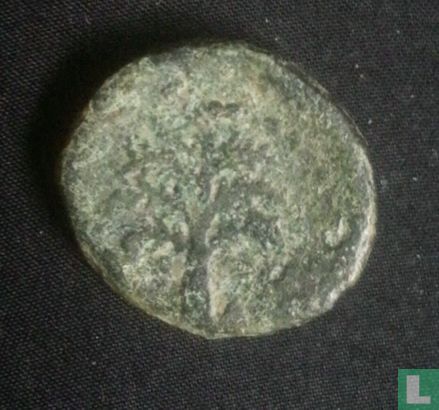 Roman Provincial - Caesarea Maritima, Samaria  AE14  (Herod Agrippa II, Domitianus, ah25)  84-85 CE - Afbeelding 1