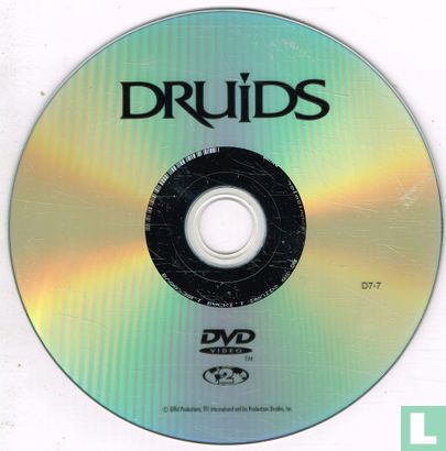 Druids - Bild 3