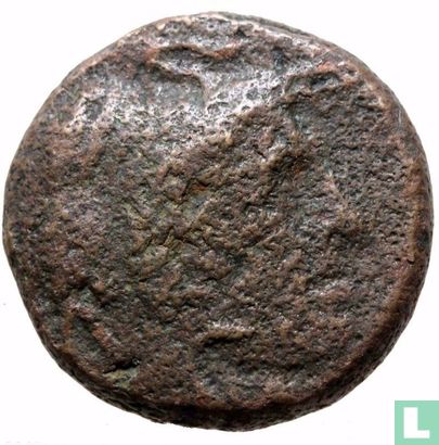 Greco-Egypte  AE21  (Ptolemaeus I, Soter)  323-285 BCE - Afbeelding 1