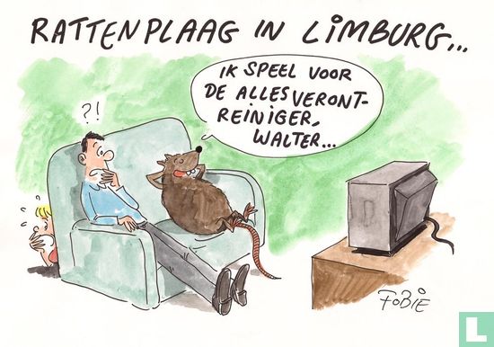 Rattenplaag in Limburg ...