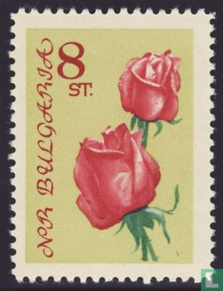 Roses (040)