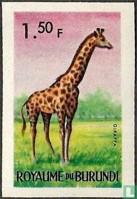 Giraf 
