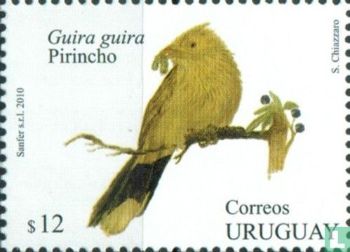 Guira Cuckoo