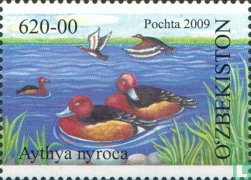 Waterfowl