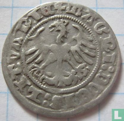 Pologne-Lituanie ½ groschen 1501 "półgrosz" - Image 2