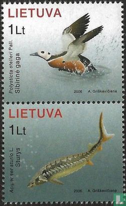 Baltic Sea fauna