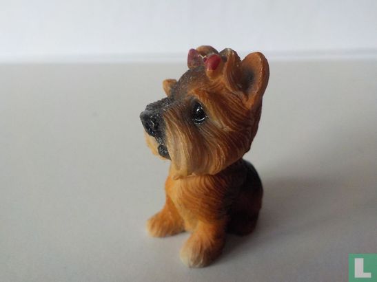 Chien  - Image 1
