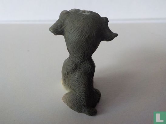 Chien - Image 3