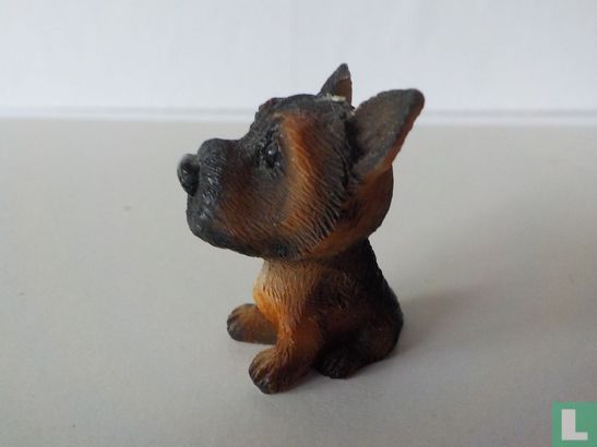 Chien  - Image 2