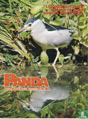 Panda 12 - Afbeelding 1