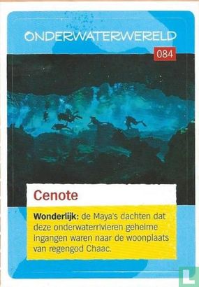 Cenote - Afbeelding 1