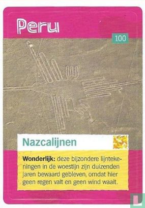 Nazcalijnen - Afbeelding 1