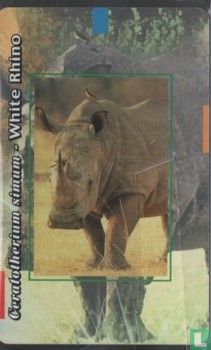 White Rhino - Afbeelding 1