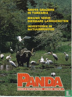 Panda 1 - Afbeelding 1