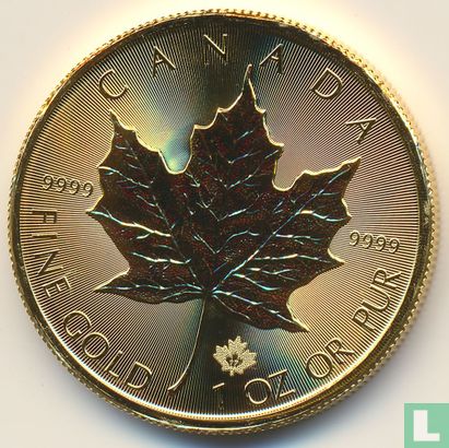 Canada 50 dollars 2017 (goud) - Afbeelding 2