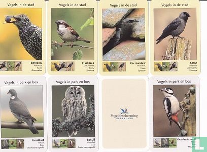 Vogelbescherming Kwartetspel - Image 2