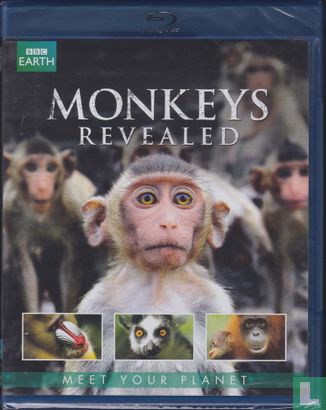 Monkeys Revealed - Afbeelding 1