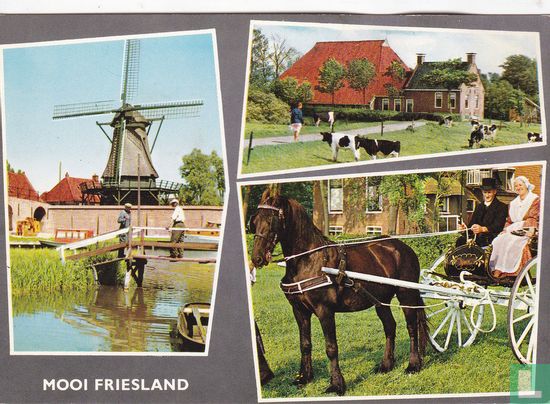 Mooi Friesland - Afbeelding 1