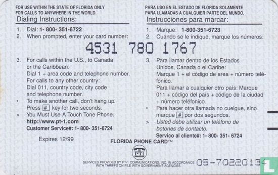 Florida phone card - Afbeelding 2