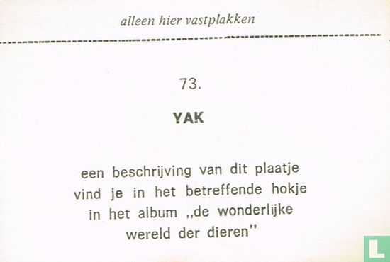 Yak - Image 2