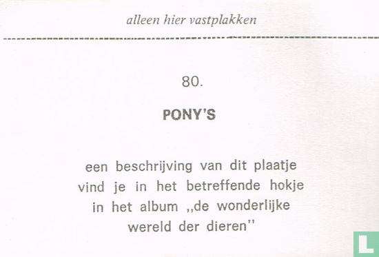 Pony's - Image 2