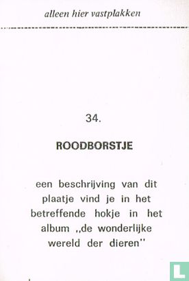 Roodborstje - Image 2