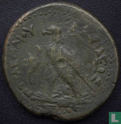 Egypt AE41 drachma (Ptolemy IV Philopator) 221-205 BC - Image 1