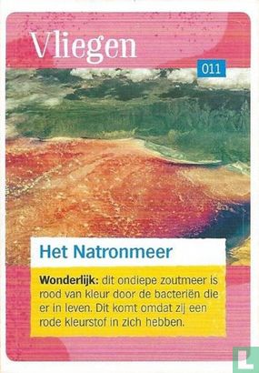 Het Natronmeer  - Image 1