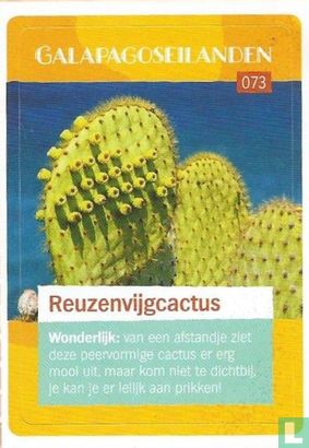 Reuzenvijgcactus  - Afbeelding 1