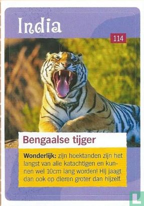 Bengaalse tijger  - Image 1