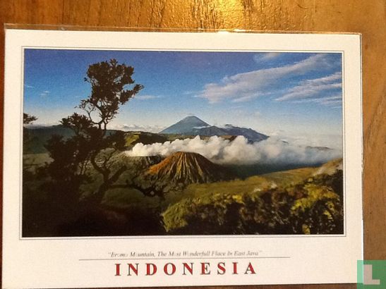 Mount Bromo, the Most Beautifull Place in East Java - Afbeelding 1
