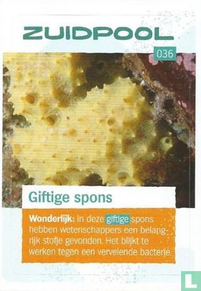 Giftige spons   - Afbeelding 1