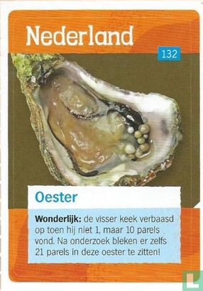 Oester  - Afbeelding 1