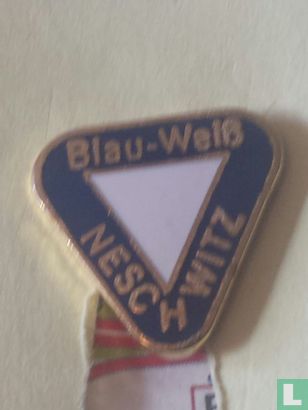 Blau Weiss Neschwitz SV