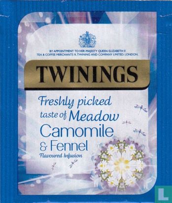 Meadow Camomile & Fennel - Afbeelding 1