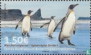 Vogels van de Antarctische regio's