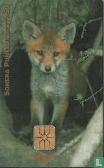 Fox ( Reprint ) - Afbeelding 1