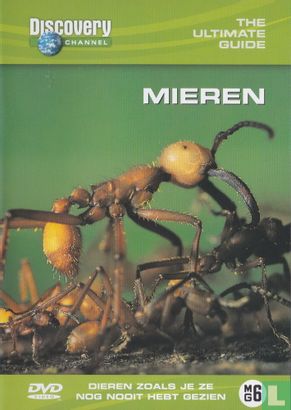 Mieren - Afbeelding 1