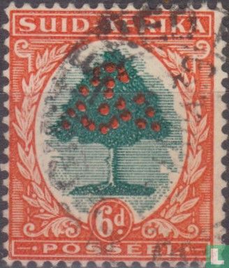 Orange tree (Afrikaans)