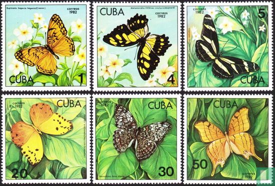 Papillons