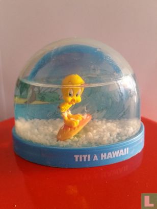 Titi à Hawaii - Bild 1
