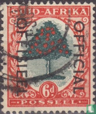 Orange Tree (Afrikaans) 