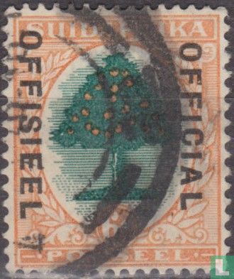 Orangenbaum (afrikanischen)