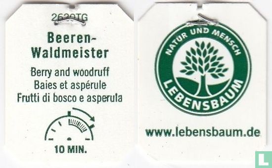 Beeren-Waldmeister  - Bild 3