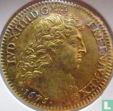 France 1 louis d'or 1675 (A) - Image 1