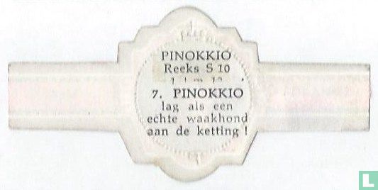 PINOKKIO lag als een echte waakhond aan de ketting ! - Image 2