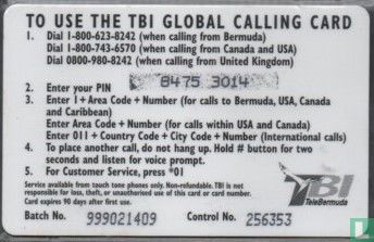 TBI Global Calling Card - Bird - Image 2