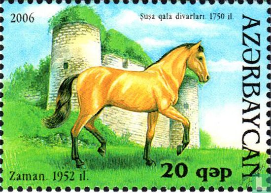 Karabakh Pferd