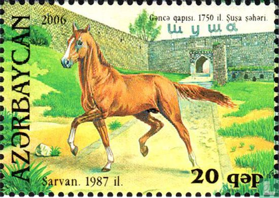 Karabach paard